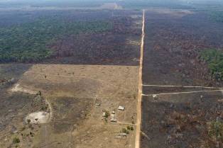 LAmazonie brésilienne enregistre la plus forte déforestation depuis 11